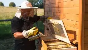 Zdjęcia: Odwiedzamy leśną pasiekę, czyli Mazury na słodko - zdjęcie 19