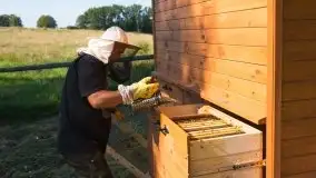 Zdjęcia: Odwiedzamy leśną pasiekę, czyli Mazury na słodko - zdjęcie 18