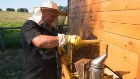 Zdjęcia: Odwiedzamy leśną pasiekę, czyli Mazury na słodko - zdjęcie 17