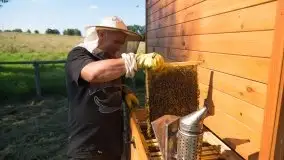 Zdjęcia: Odwiedzamy leśną pasiekę, czyli Mazury na słodko - zdjęcie 16