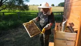 Zdjęcia: Odwiedzamy leśną pasiekę, czyli Mazury na słodko - zdjęcie 15