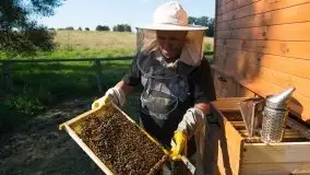 Zdjęcia: Odwiedzamy leśną pasiekę, czyli Mazury na słodko - zdjęcie 14