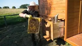 Zdjęcia: Odwiedzamy leśną pasiekę, czyli Mazury na słodko - zdjęcie 13