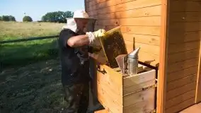 Zdjęcia: Odwiedzamy leśną pasiekę, czyli Mazury na słodko - zdjęcie 12