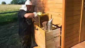 Zdjęcia: Odwiedzamy leśną pasiekę, czyli Mazury na słodko - zdjęcie 11