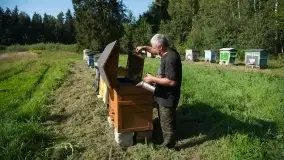 Zdjęcia: Odwiedzamy leśną pasiekę, czyli Mazury na słodko - zdjęcie 5