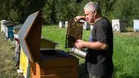 Zdjęcia: Odwiedzamy leśną pasiekę, czyli Mazury na słodko - zdjęcie 4