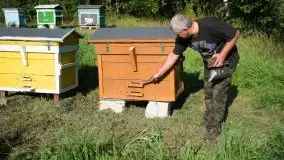 Zdjęcia: Odwiedzamy leśną pasiekę, czyli Mazury na słodko - zdjęcie 2