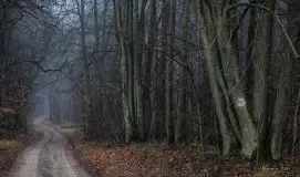 Zdjęcia: Miłośnicy Mazur - Maison du Temps - "Mazury na piechotę" - zdjęcie 13