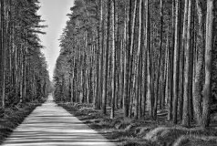 Zdjęcia: Miłośnicy Mazur - Maison du Temps - "Mazury na piechotę" - zdjęcie 1