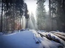 Z zamiłowania do przyrody, w fotografii Mariusza Kulisia - zdjęcie 32