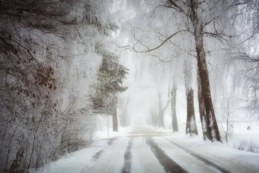 Z zamiłowania do przyrody, w fotografii Mariusza Kulisia - zdjęcie 4