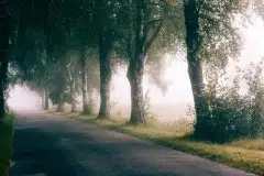 Z zamiłowania do przyrody, w fotografii Mariusza Kulisia - zdjęcie 12