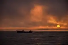 Z zamiłowania do przyrody, w fotografii Mariusza Kulisia - zdjęcie 23