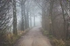 Z zamiłowania do przyrody, w fotografii Mariusza Kulisia - zdjęcie 30