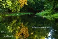 Zdjęcia: Miłośnicy Mazur - Pasja Fotografii w galerii Tomasza Ziółkowskiego - zdjęcie 4