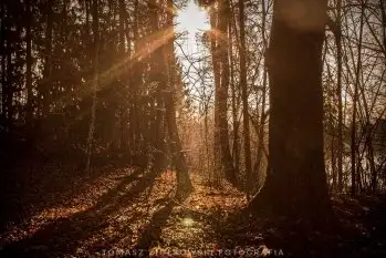 Zdjęcia: Miłośnicy Mazur - Pasja Fotografii w galerii Tomasza Ziółkowskiego