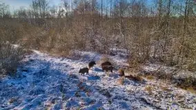 Zdjęcia: Miłośnicy Mazur - Obłędnie z lotu ptaka, Paweł Adamski - zdjęcie 10