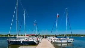 Zdjęcia: Rozmawiamy dłużej z właścicielami portu Tło dla Mew - zdjęcie 21