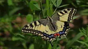 Zdjęcia: Miłośnicy Mazur - magia w zdjęciach Grzegorza - zdjęcie 7