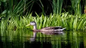 Zdjęcia: Miłośnicy Mazur - Zwykłe, czy niezwykłe... życie - zdjęcie 39