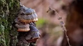 Zdjęcia: Miłośnicy Mazur - Zwykłe, czy niezwykłe... życie - zdjęcie 26