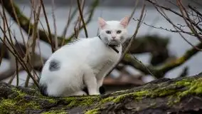 Zdjęcia: Miłośnicy Mazur - Zwykłe, czy niezwykłe... życie - zdjęcie 24