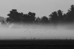 Zdjęcia: Miłośnicy Mazur - zobacz piękno niesamowitej mazurskiej przyrody - zdjęcie 14