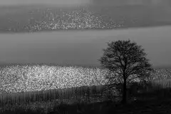 Zdjęcia: Miłośnicy Mazur - zobacz piękno niesamowitej mazurskiej przyrody - zdjęcie 13