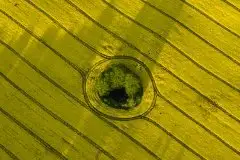 Zdjęcia: Miłośnicy Mazur - zobacz piękno niesamowitej mazurskiej przyrody - zdjęcie 4