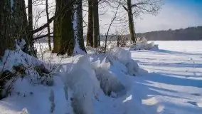 Zima na zdjęciach Tadeusza Sakowskiego - zdjęcie 21