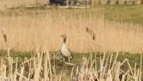 Zdjęcia: Miłośnicy Mazur, dzisiaj zdjęcia Stanisława Sielewicza - zdjęcie 31