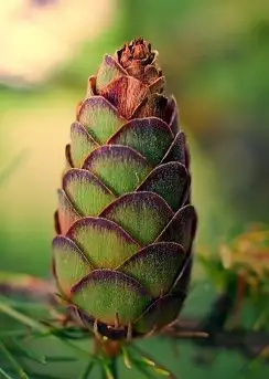 Zdjęcia: Miłośnicy Mazur, dzisiaj zdjęcia Stanisława Sielewicza - zdjęcie 14