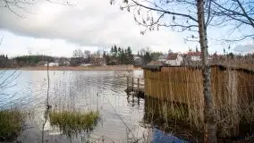 Styczniowe Wydminy bez śniegu w środku zimy - zdjęcie 50