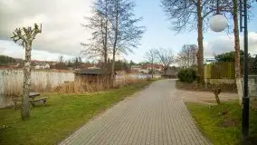 Styczniowe Wydminy bez śniegu w środku zimy - zdjęcie 46