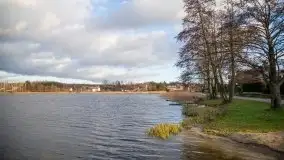 Styczniowe Wydminy bez śniegu w środku zimy - zdjęcie 43