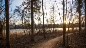 Styczniowe Wydminy bez śniegu w środku zimy - zdjęcie 23