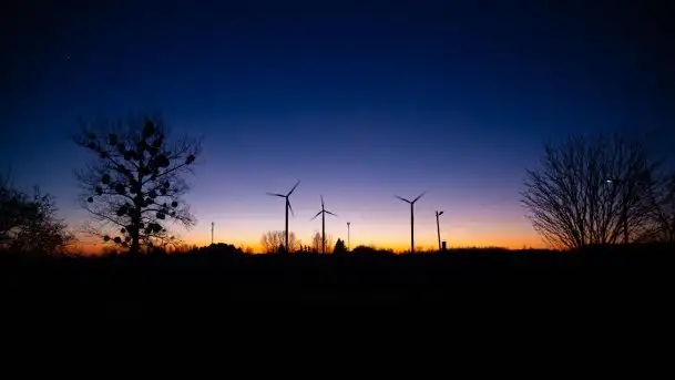 Styczniowe Wydminy bez śniegu w środku zimy - zdjęcie 10