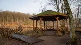 Las miejski w Giżycku, styczeń 2020 - zdjęcie 2