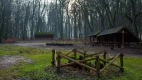 Las miejski w Giżycku, styczeń 2020 - zdjęcie 1