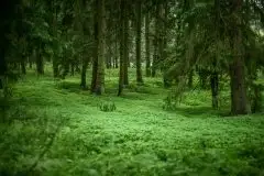 Zdjęcia: Miłośnicy Mazur - dusza Mazur na zdjęciach Piotra Mierzejewskiego - zdjęcie 19