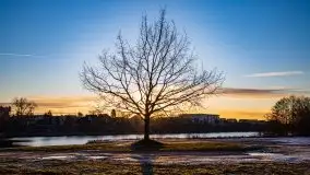 Ełk skąpany w lutowym słońcu - zdjęcie 52