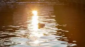 Ełk skąpany w lutowym słońcu - zdjęcie 41