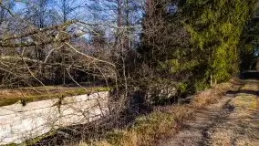 Zdjęcia: Mosty w Botkunach i Kiepojcach - tajemnicze i schowane w lasach - zdjęcie 31