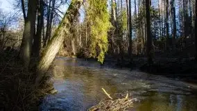 Zdjęcia: Mosty w Botkunach i Kiepojcach - tajemnicze i schowane w lasach - zdjęcie 24