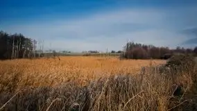 Mazurska przyroda budzi się do życia na zdjęciach Stanisława Sielewicza - zdjęcie 19