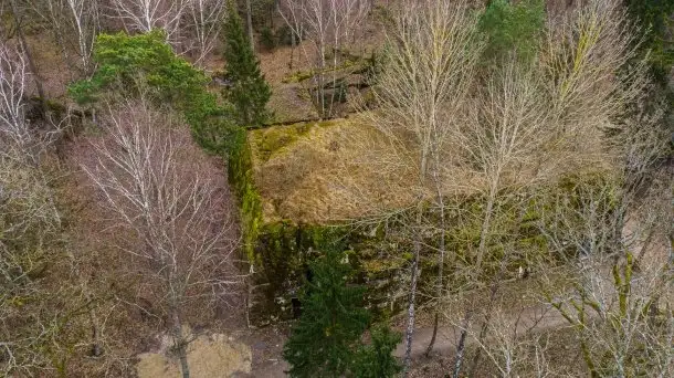 Wilczy Szaniec w Gierłoży zimą jeszcze lepiej widoczny - zdjęcie 8