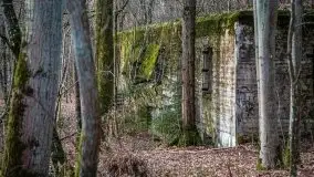 Wilczy Szaniec w Gierłoży zimą jeszcze lepiej widoczny - zdjęcie 31