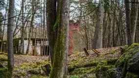 Wilczy Szaniec w Gierłoży zimą jeszcze lepiej widoczny - zdjęcie 80