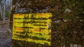 Wilczy Szaniec w Gierłoży zimą jeszcze lepiej widoczny - zdjęcie 83